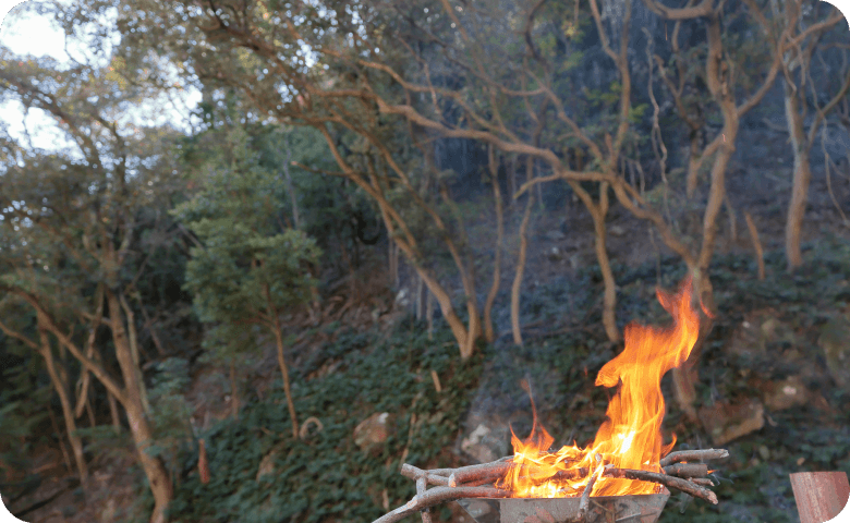 自然の中で焚火・BBQなどをお楽しみいただけます！